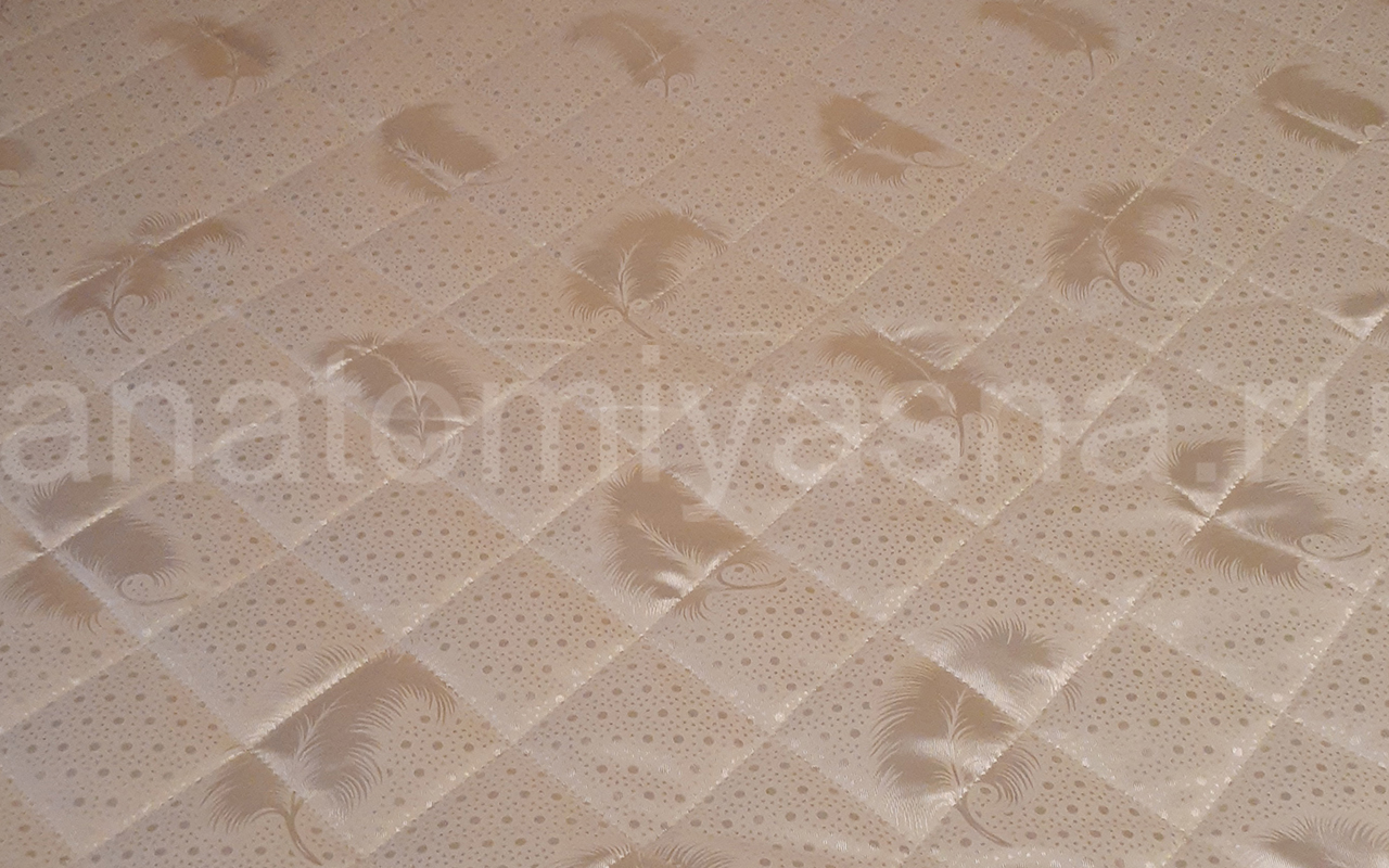 отзыв о Матрас DreamLine Easy Feel TFK фото 2